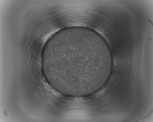 X0000102800979200809081108