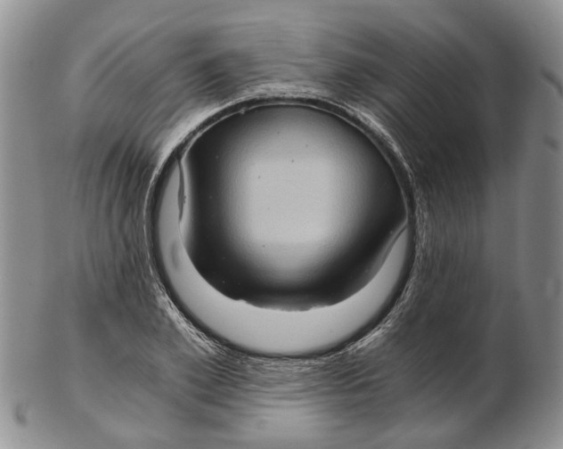 X0000102800981200809081108