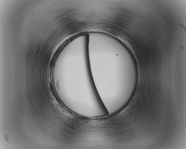 X0000102800984200809081108