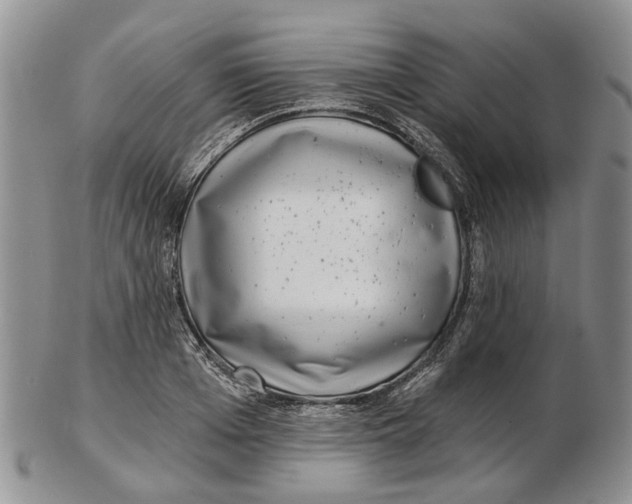 X0000102800985200809081108