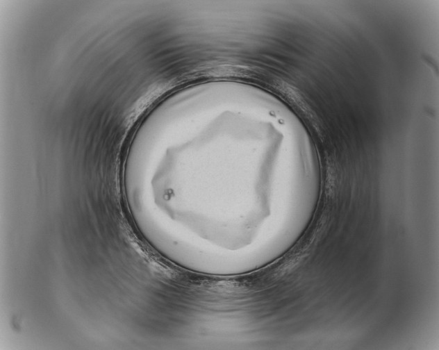 X0000102800986200809081108