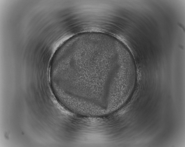 X0000102800987200809081108