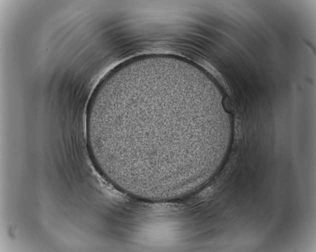 X0000102800988200809081108