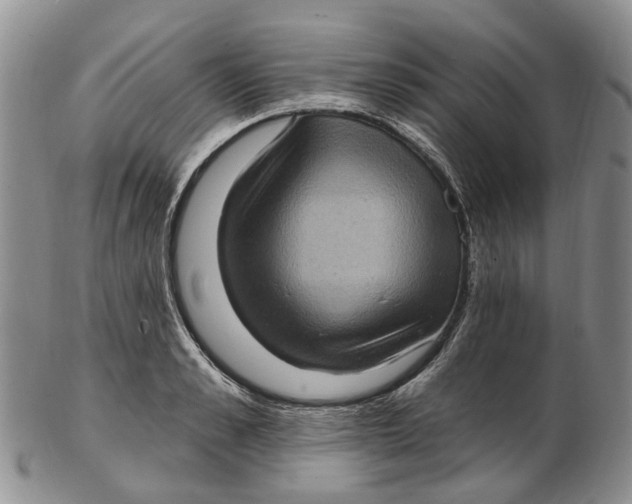 X0000102800989200809081108