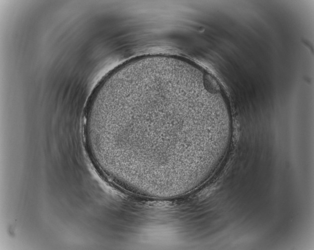 X0000102800991200809081108