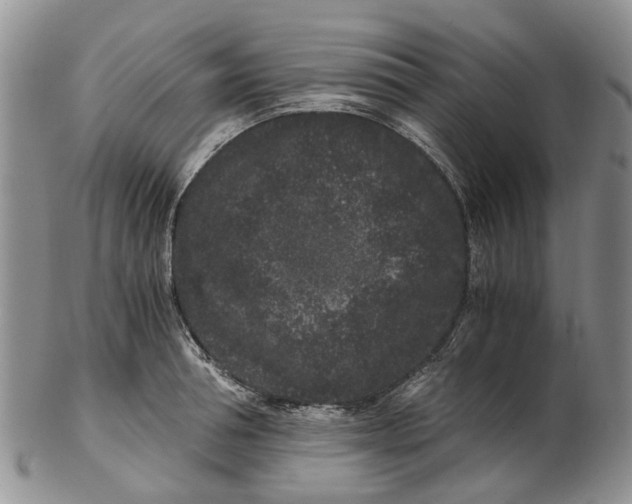 X0000102800994200809081108