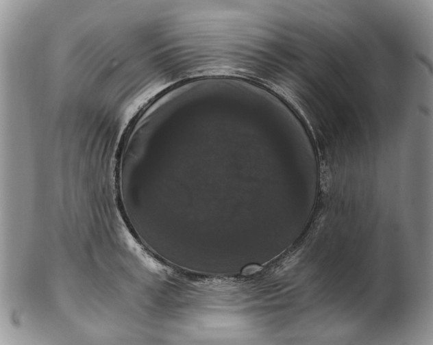 X0000102800995200809081108