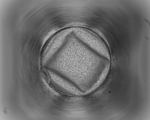 X0000102800997200809081108