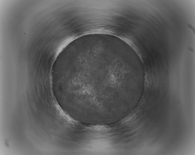 X0000102800998200809081108