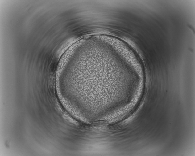 X0000102801001200809081108