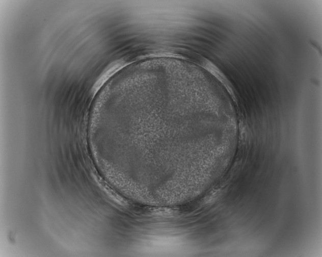 X0000102801002200809081108