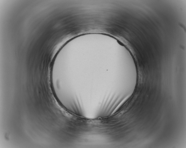 X0000102801006200809081108