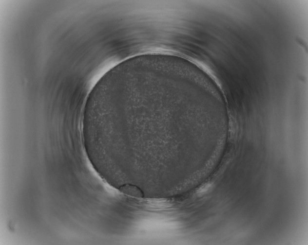 X0000102801007200809081108