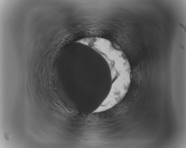 X0000102801009200809081107