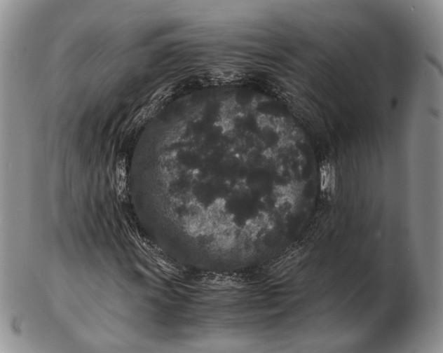 X0000102801011200809081107