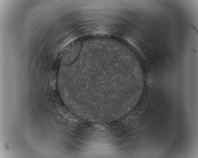 X0000102801015200809081107