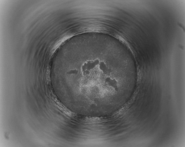 X0000102801019200809081107