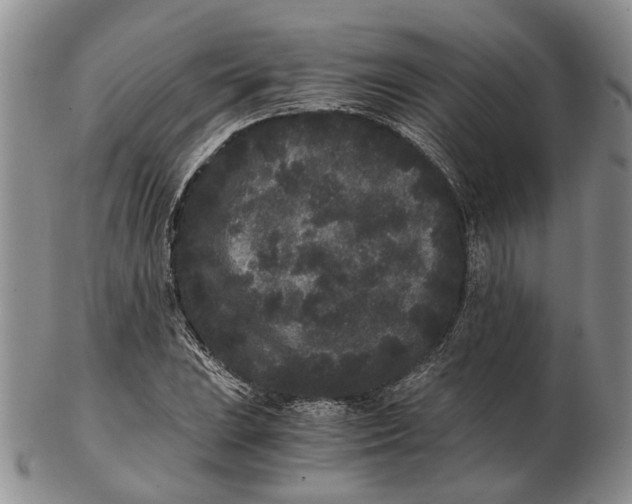 X0000102801023200809081107