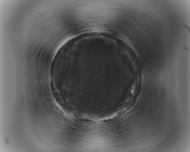 X0000102801024200809081107