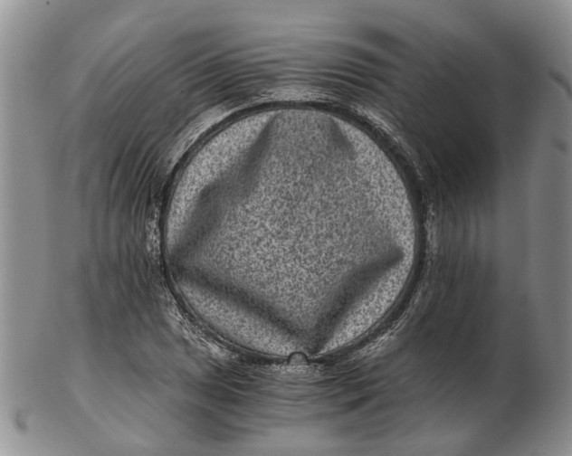 X0000102801025200809081107