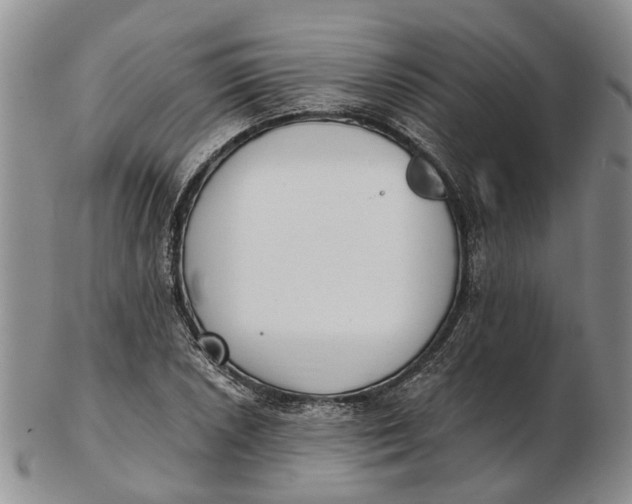 X0000102801026200809081107