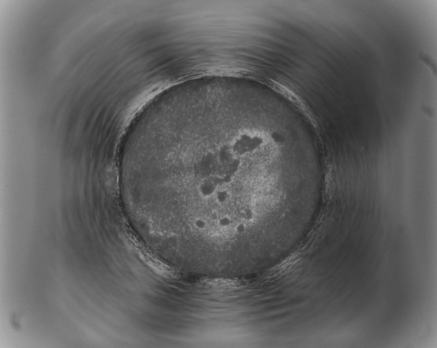 X0000102801027200809081107