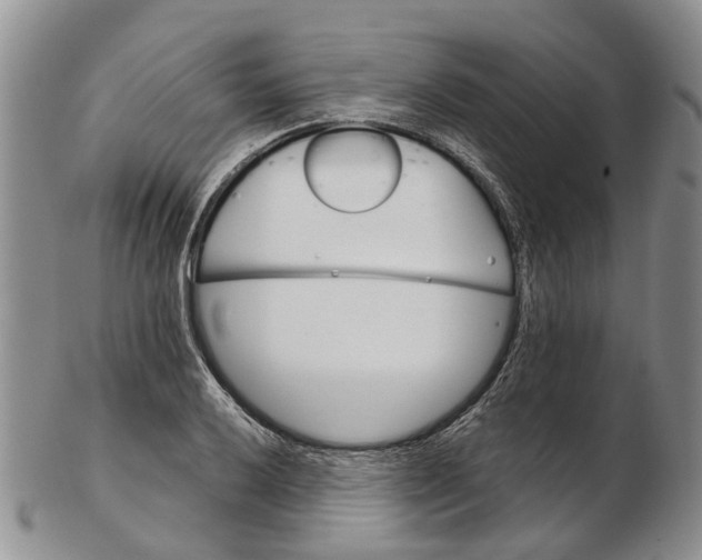 X0000102801032200809081107