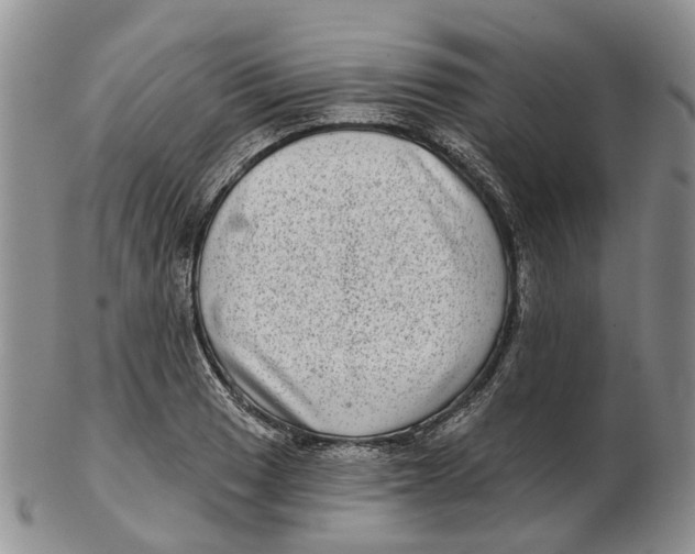 X0000102801033200809081107