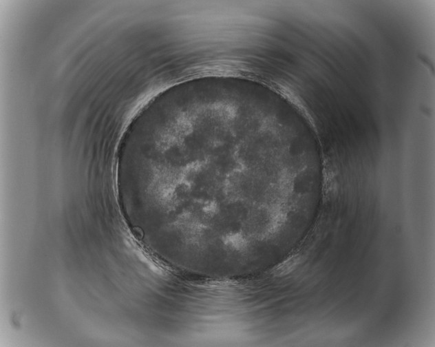 X0000102801035200809081107