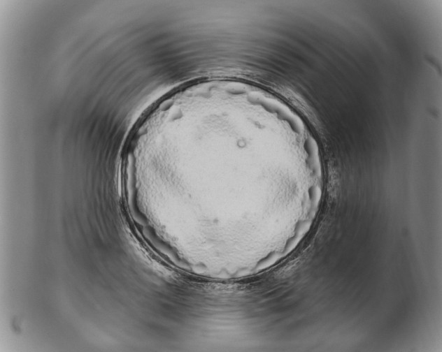 X0000102801036200809081108