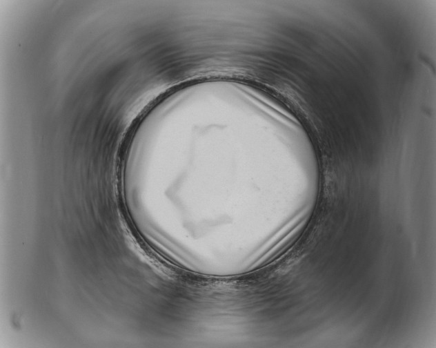 X0000102801038200809081108