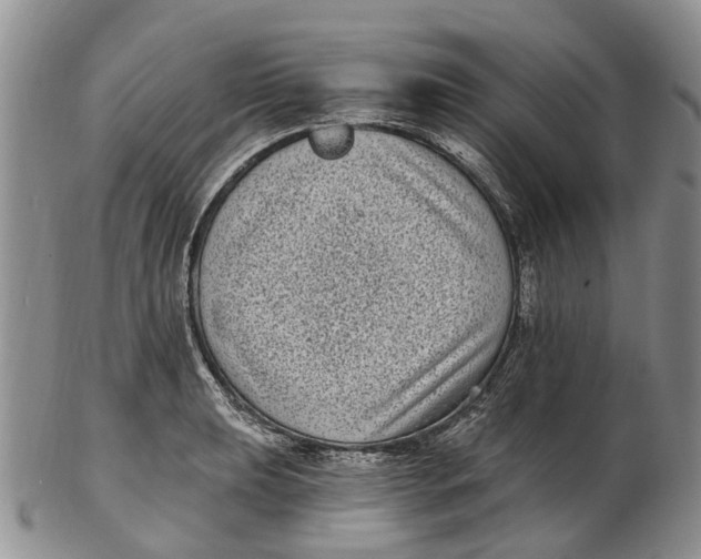 X0000102801039200809081108