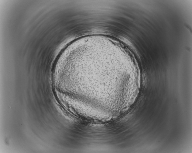 X0000102801043200809081108