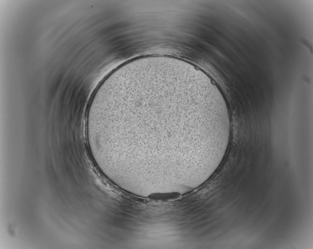 X0000102801044200809081108