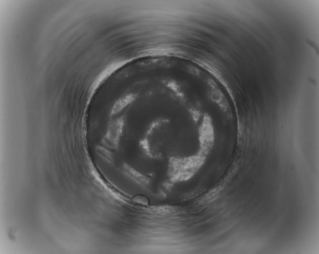 X0000102801045200809081108