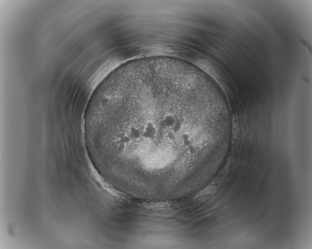 X0000102801047200809081108