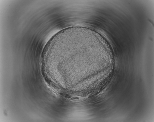 X0000102801048200809081108