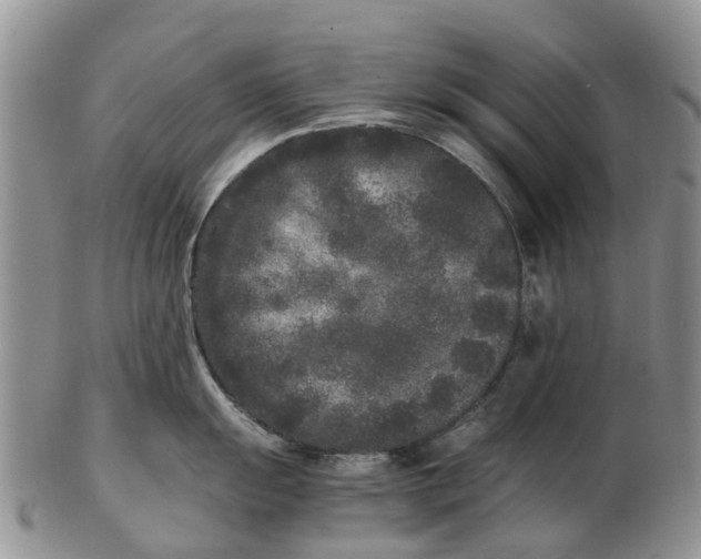 X0000102801055200809081108