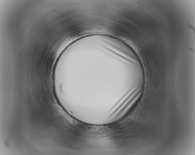 X0000102801056200809081108