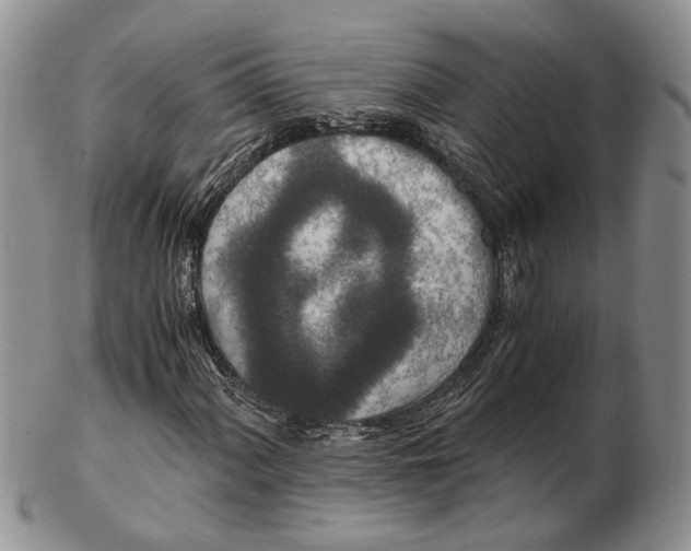 X0000102801060200809081107