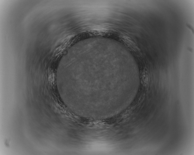 X0000102801061200809081107