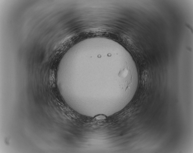 X0000102801062200809081107