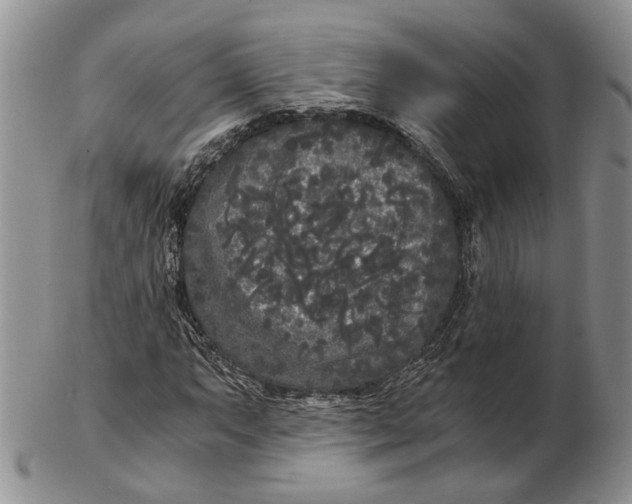 X0000102801063200809081107