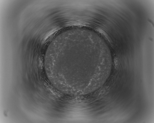 X0000102801064200809081107