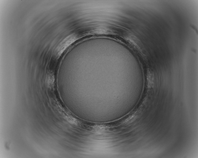 X0000102801065200809081107