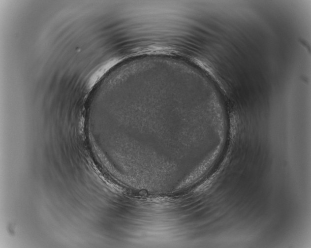 X0000102801066200809081107