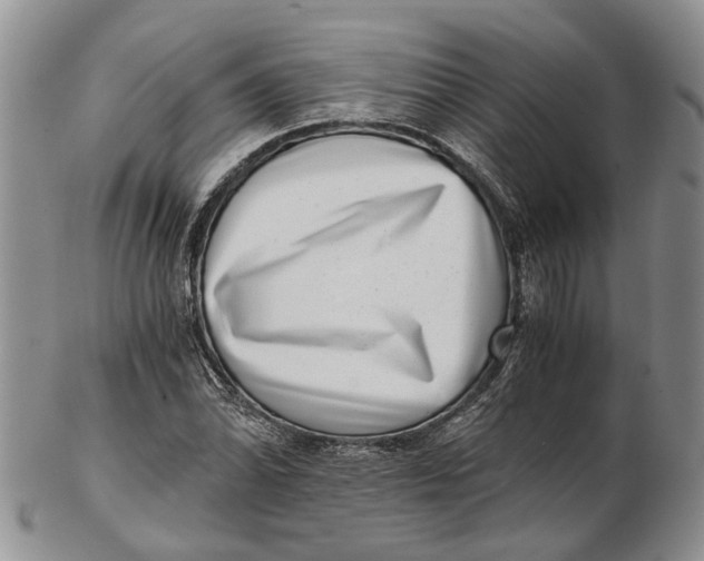 X0000102801070200809081107