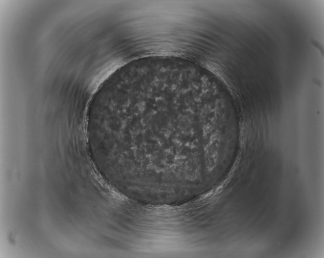 X0000102801071200809081107