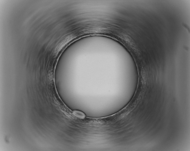 X0000102801073200809081107