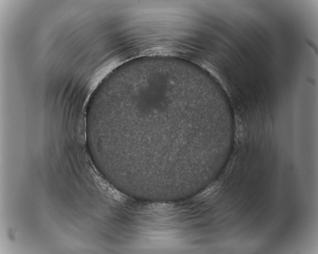 X0000102801075200809081107